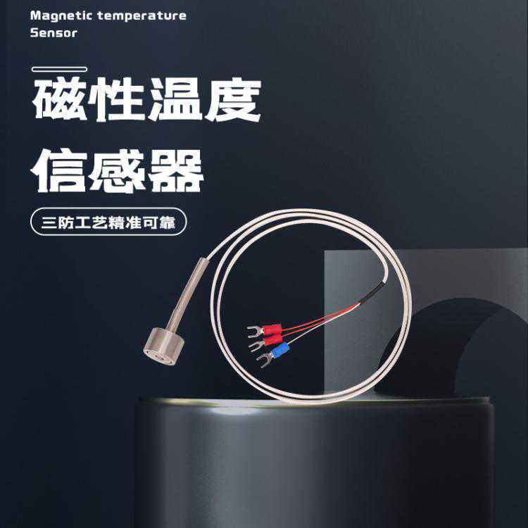 诚润 磁性吸附式热电阻pt100温度传感器磁铁式热电偶pt1000高温